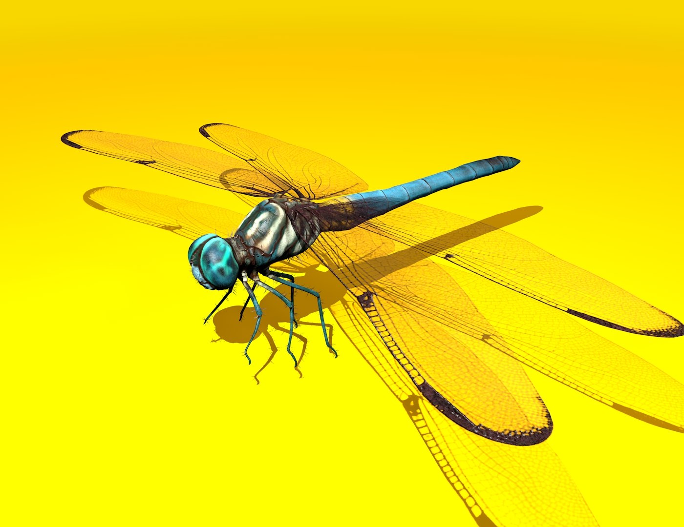 3D dragonfly rigged https://p.turbosquid.com/ts-thumb/NL/BaHqF9/vXtlzkqy/11/jpg/1544036520/1920x1080/fit_q87/fc6a250040ca99a79986c037910c41b4be56b5b9/11.jpg