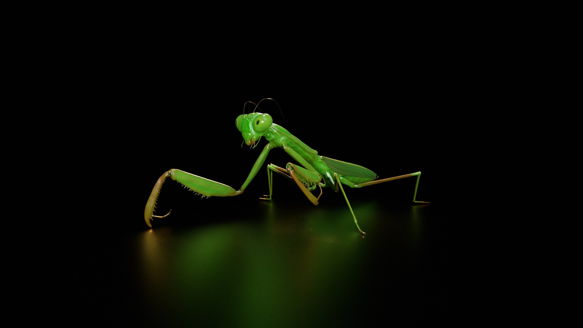 3D model Praying Mantis Rig PBR https://p.turbosquid.com/ts-thumb/NL/IatTjZ/ED/untitled_maincamera/png/1757262345/1920x1080/fit_q87/5b5f02e0fa881f6072f472b1fb5a981a0e0f5332/untitled_maincamera.jpg