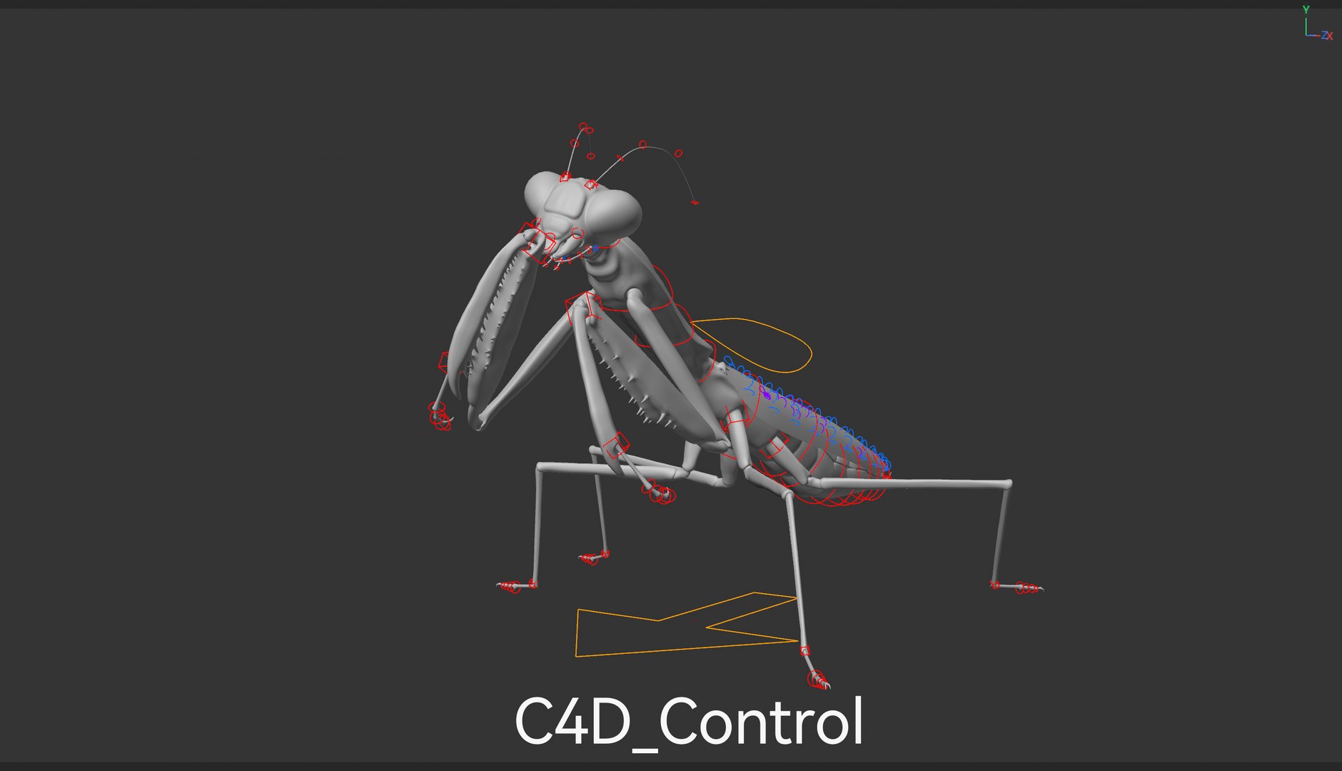 3D model Praying Mantis Rig PBR https://p.turbosquid.com/ts-thumb/NL/IatTjZ/Lo/c4d_control3/png/1757262328/1920x1080/fit_q87/005ffbfe1502b4173c23adbfdb86df1714974823/c4d_control3.jpg