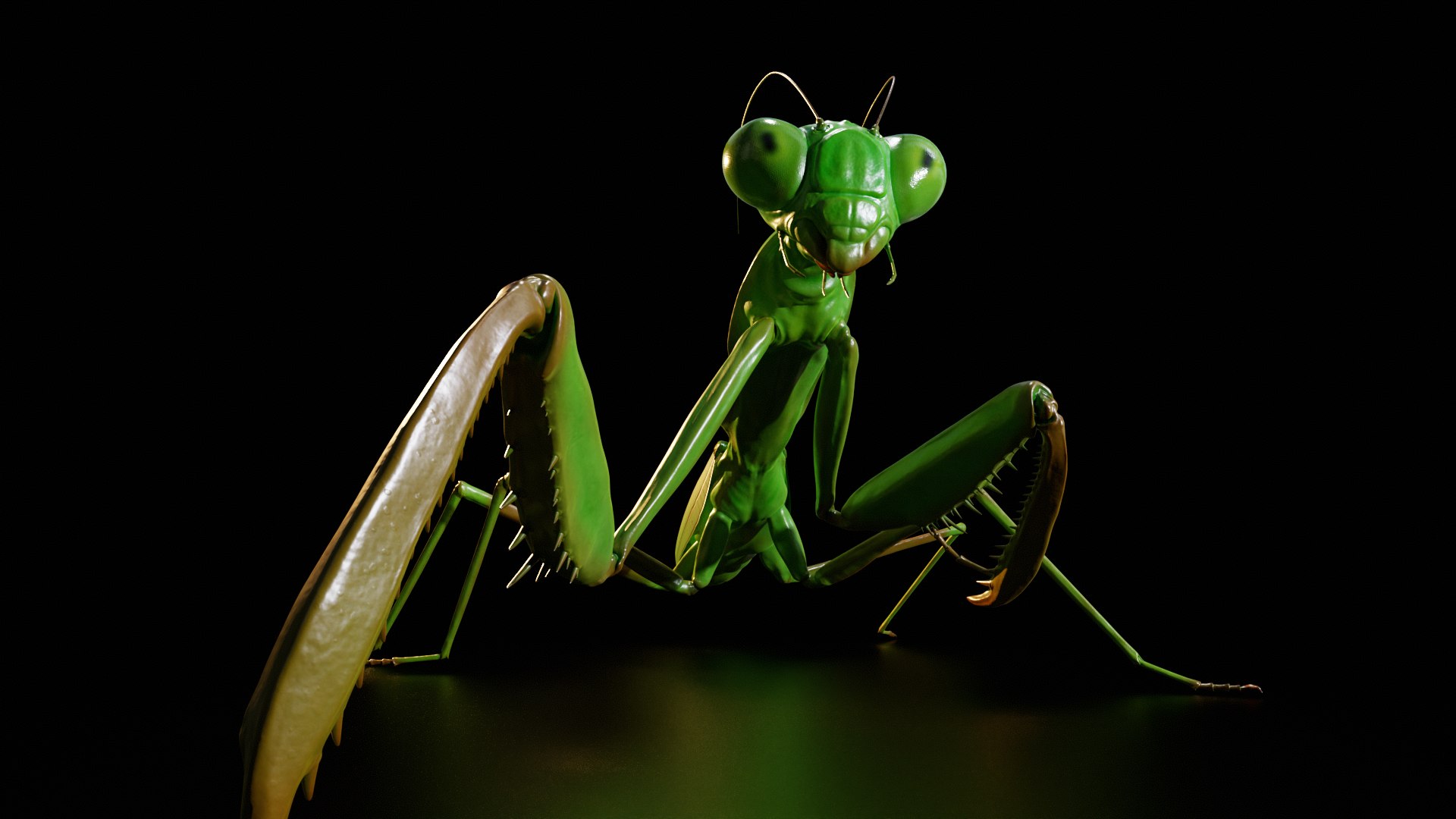 3D model Praying Mantis Rig PBR https://p.turbosquid.com/ts-thumb/NL/IatTjZ/Qf/untitled_maincamera2/png/1757262343/1920x1080/fit_q87/53f1fd86c78358540742849d10047bc15afc550a/untitled_maincamera2.jpg