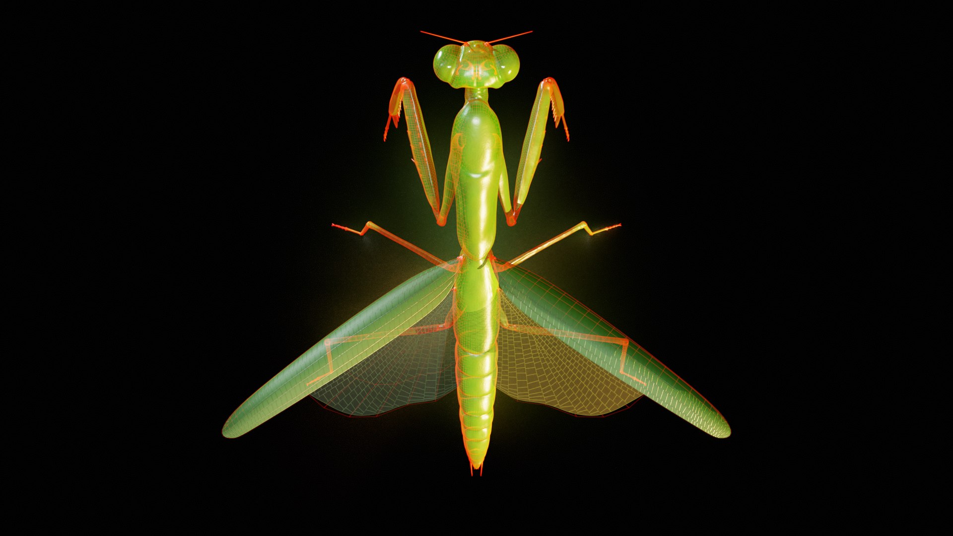 3D model Praying Mantis Rig PBR https://p.turbosquid.com/ts-thumb/NL/IatTjZ/if/t/png/1757262342/1920x1080/fit_q87/3377bcfa0f7bb49747896ff34c3f6424a7b382ca/t.jpg