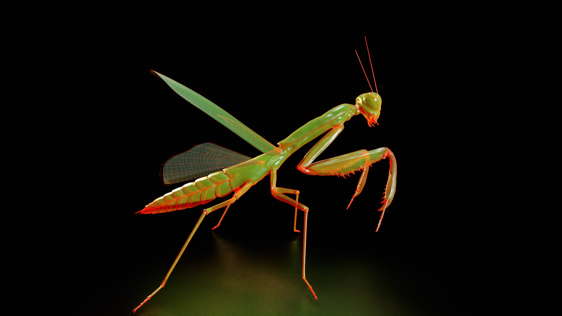 3D model Praying Mantis Rig PBR https://p.turbosquid.com/ts-thumb/NL/IatTjZ/jo/side/png/1757262341/1920x1080/fit_q87/affe90735dff2ecf9e730b7b1c2b245ac55f6a1e/side.jpg
