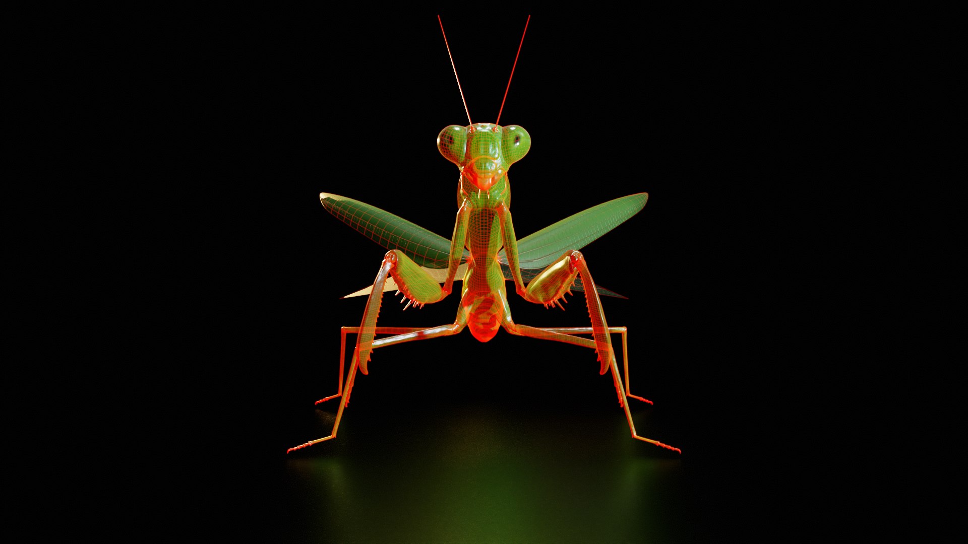 3D model Praying Mantis Rig PBR https://p.turbosquid.com/ts-thumb/NL/IatTjZ/tX/f/png/1757262339/1920x1080/fit_q87/7b6177de59ef708c764e60cf51e77b10b64d2df6/f.jpg