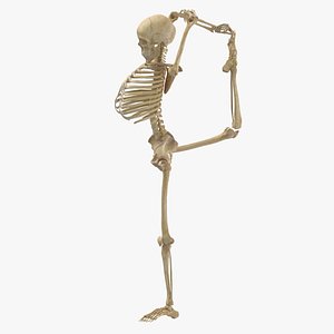 3D Real Human Female Skeleton Pose 111(1)