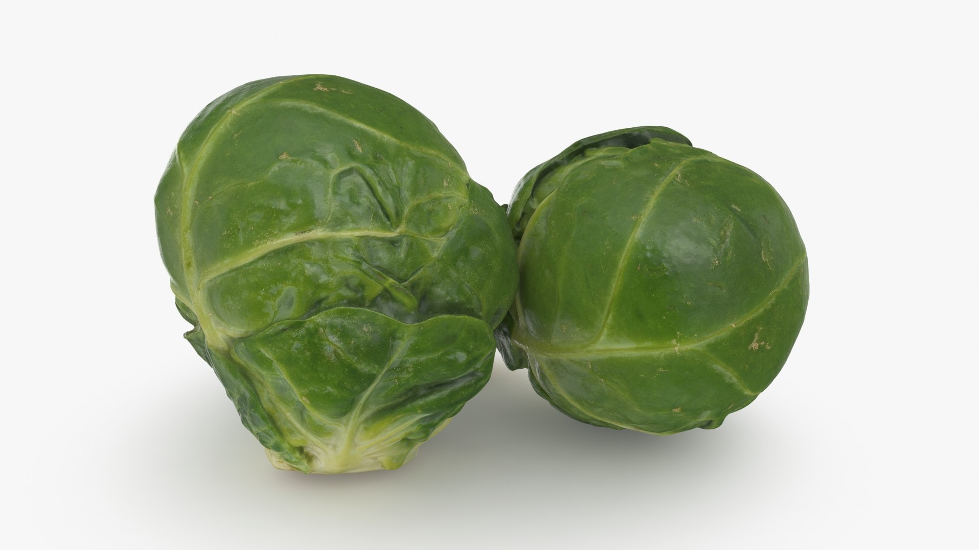 3D Brussels Sprouts 1 https://p.turbosquid.com/ts-thumb/NL/YAmjJy/Hh/setbrusselssprout_b0008/jpg/1735752643/1920x1080/fit_q87/b0a85d54a0f7c42affa2704efa14454f7e820d80/setbrusselssprout_b0008.jpg