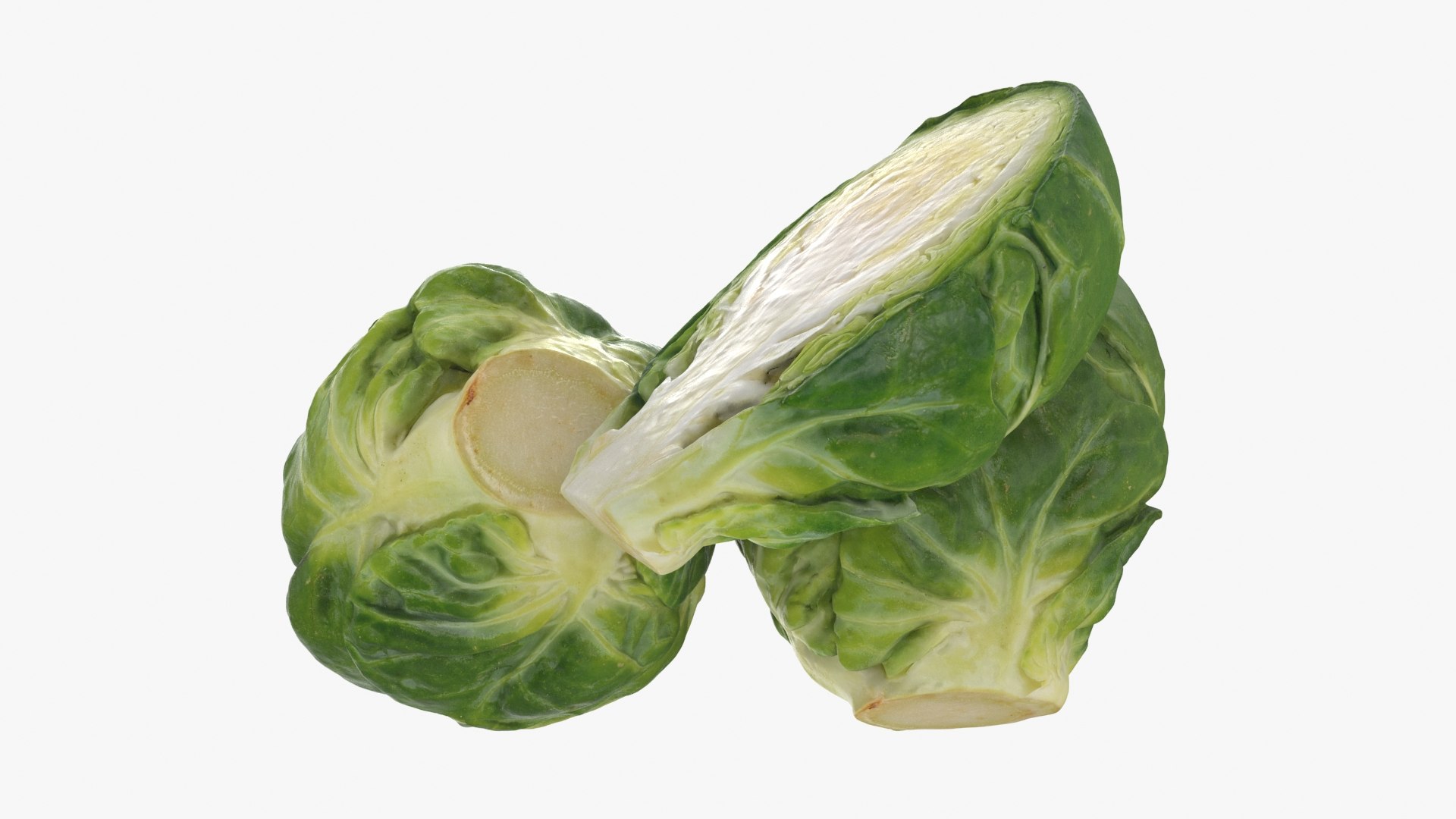 3D Brussels Sprouts 1 https://p.turbosquid.com/ts-thumb/NL/YAmjJy/IP/setbrusselssprout_b0020/jpg/1735752648/1920x1080/fit_q87/431ae463a11c9f9f8bd37cd37dc8b361dc55ae14/setbrusselssprout_b0020.jpg