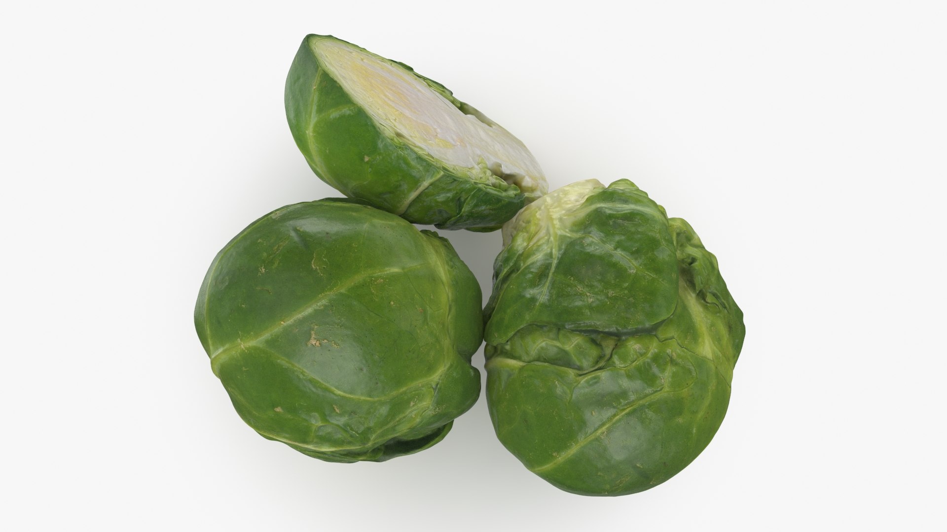 3D Brussels Sprouts 1 https://p.turbosquid.com/ts-thumb/NL/YAmjJy/Qg/setbrusselssprout_b0004/jpg/1735752642/1920x1080/fit_q87/43628a3f75b6783fdc334f90756b59b4b4a1f5c7/setbrusselssprout_b0004.jpg