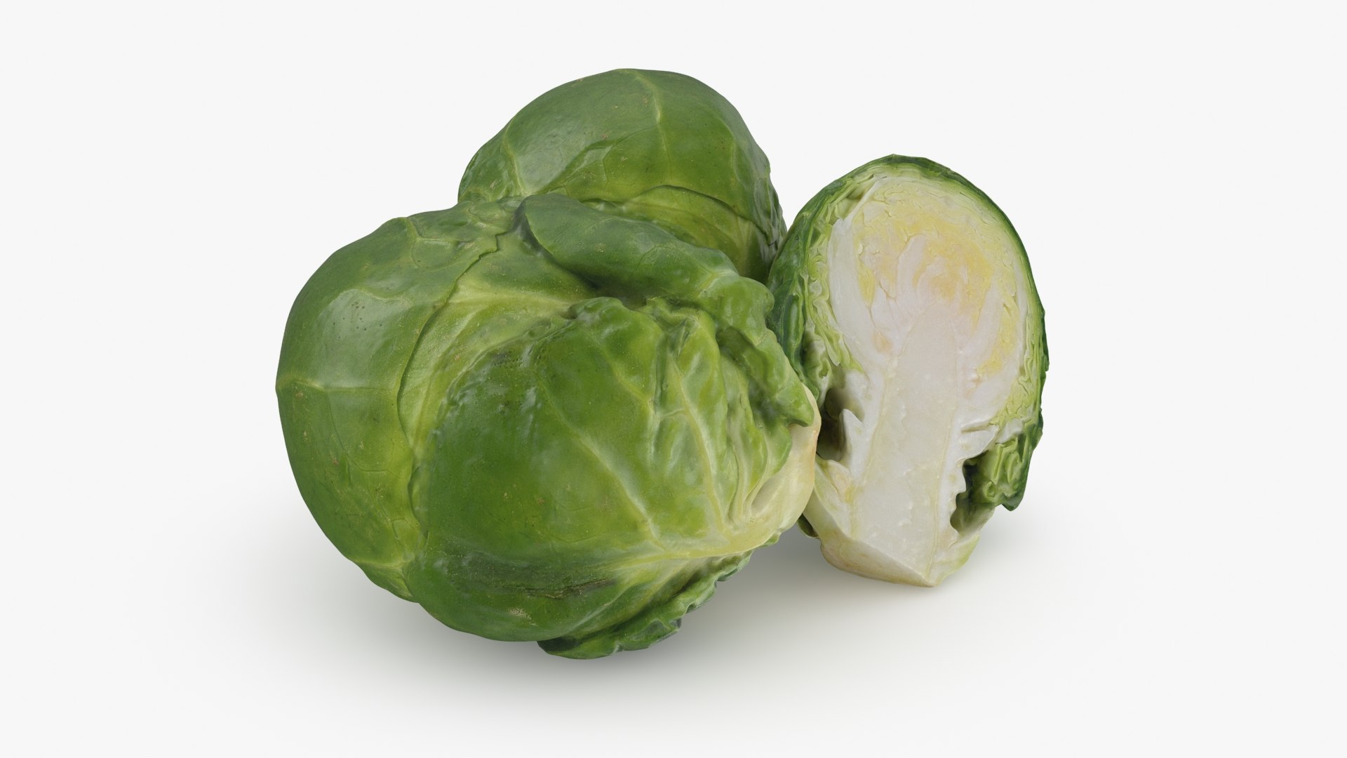 3D Brussels Sprouts 1 https://p.turbosquid.com/ts-thumb/NL/YAmjJy/Qq/setbrusselssprout_b0002/jpg/1735752641/1920x1080/fit_q87/10d18ba7eab619a5d2791baf4c27522258496177/setbrusselssprout_b0002.jpg