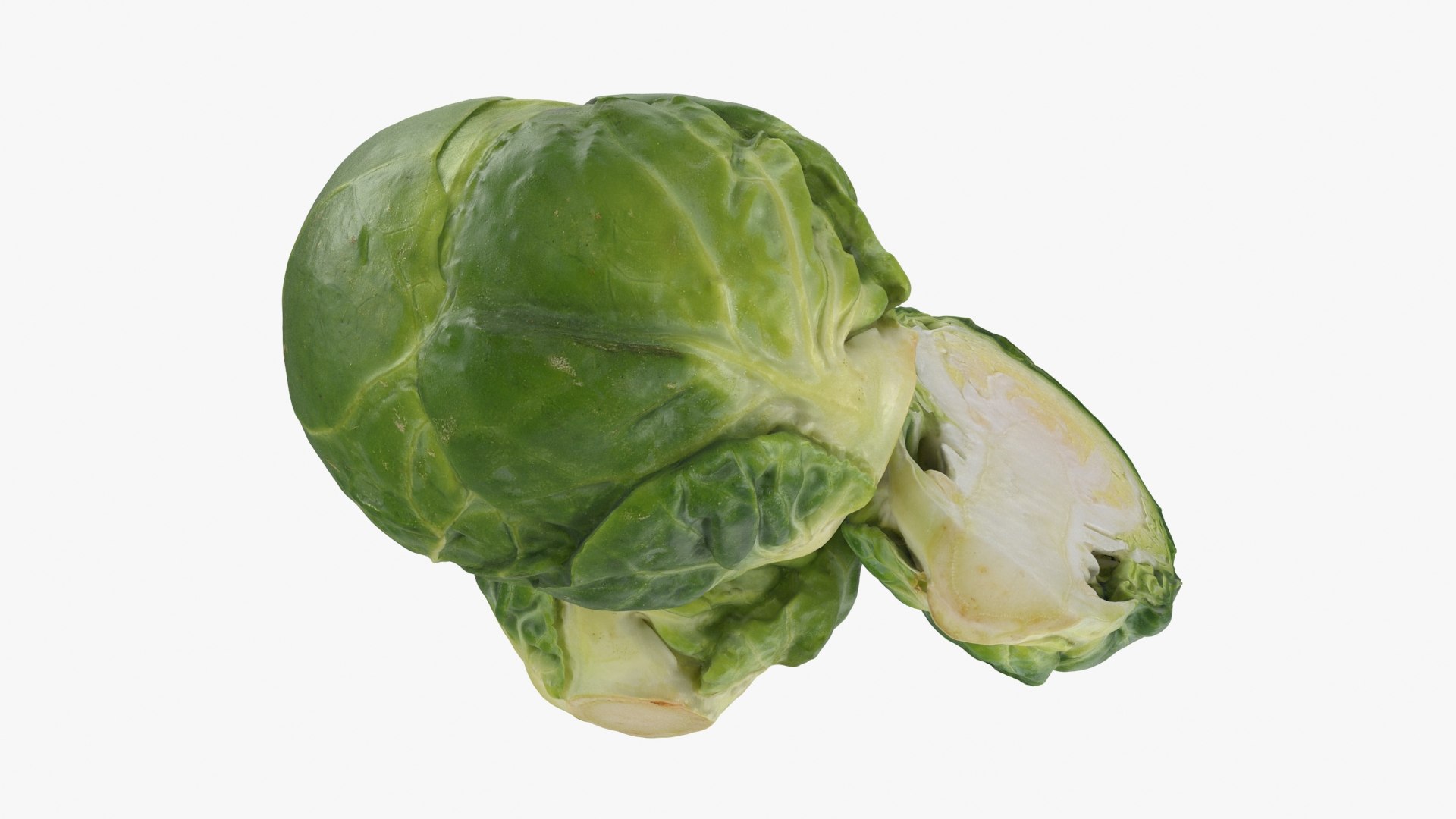 3D Brussels Sprouts 1 https://p.turbosquid.com/ts-thumb/NL/YAmjJy/b0/setbrusselssprout_b0022/jpg/1735752649/1920x1080/fit_q87/6bdb2249f920772f69f33a4c5298917e03907183/setbrusselssprout_b0022.jpg