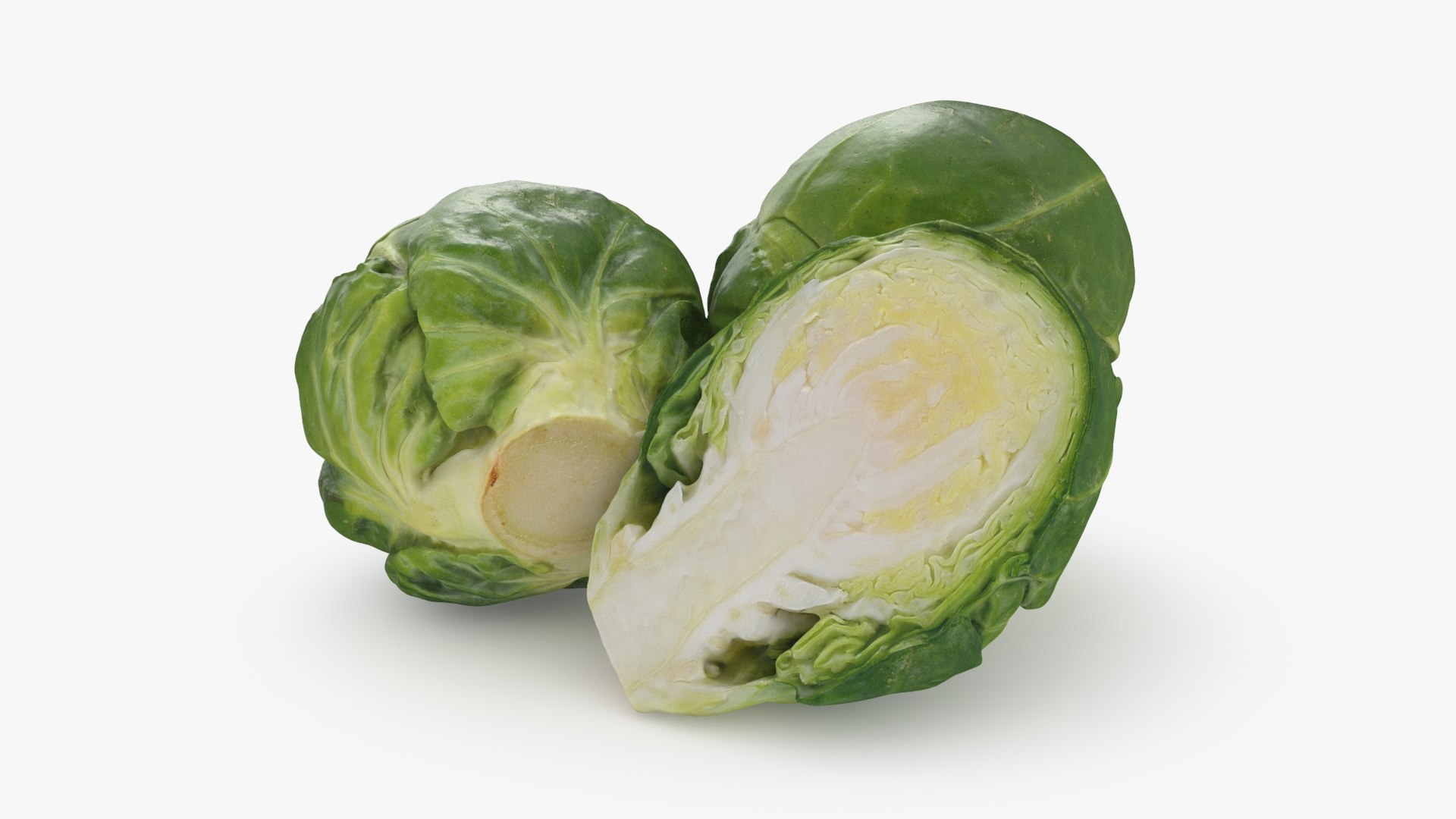 3D Brussels Sprouts 1 https://p.turbosquid.com/ts-thumb/NL/YAmjJy/bt/setbrusselssprout_b0006/jpg/1735752644/1920x1080/fit_q87/ef9efb1fab2a00942da7d03d22cce29a2a29f237/setbrusselssprout_b0006.jpg