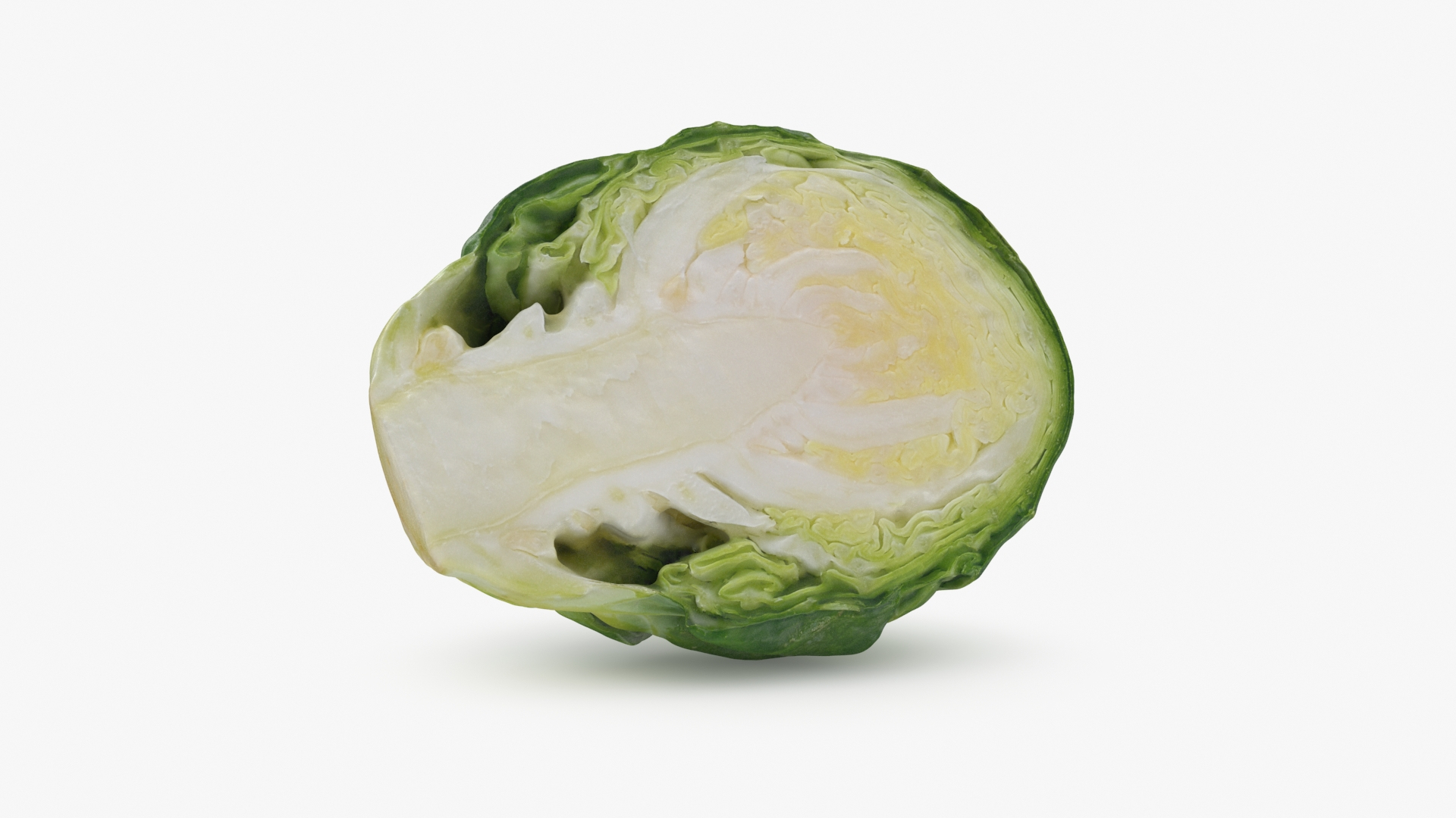 3D Brussels Sprouts 1 https://p.turbosquid.com/ts-thumb/NL/YAmjJy/bx/brusselssproutcut1/jpg/1735561489/1920x1080/turn_fit_q99/1e90d3c32cae30f25600dff3f712404293d27329/brusselssproutcut1-1.jpg