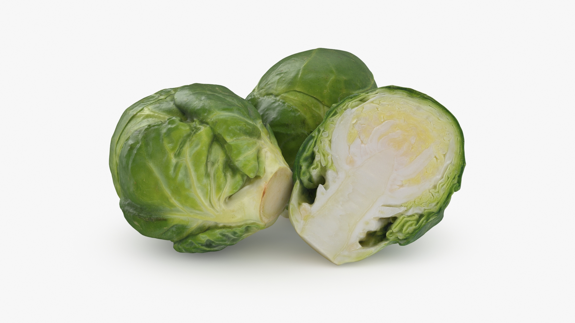 3D Brussels Sprouts 1 https://p.turbosquid.com/ts-thumb/NL/YAmjJy/do/setbrusselssprout/jpg/1735752538/1920x1080/turn_fit_q99/9d6aee743abcb5fc9eb4896ffa6a969b11bc6e7c/setbrusselssprout-1.jpg