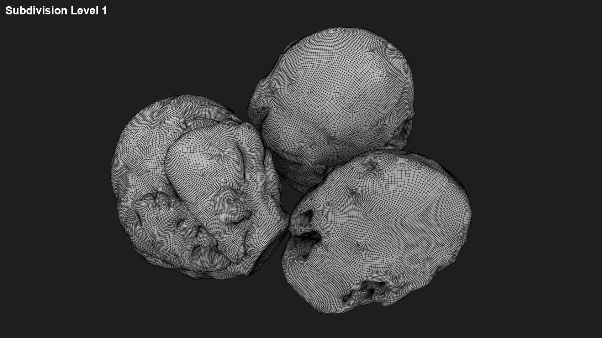 3D Brussels Sprouts 1 https://p.turbosquid.com/ts-thumb/NL/YAmjJy/fC/setbrusselssprout_g0002/jpg/1735752652/1920x1080/fit_q87/5e03c057acf912f1fb771ac52f47f04af25716ce/setbrusselssprout_g0002.jpg