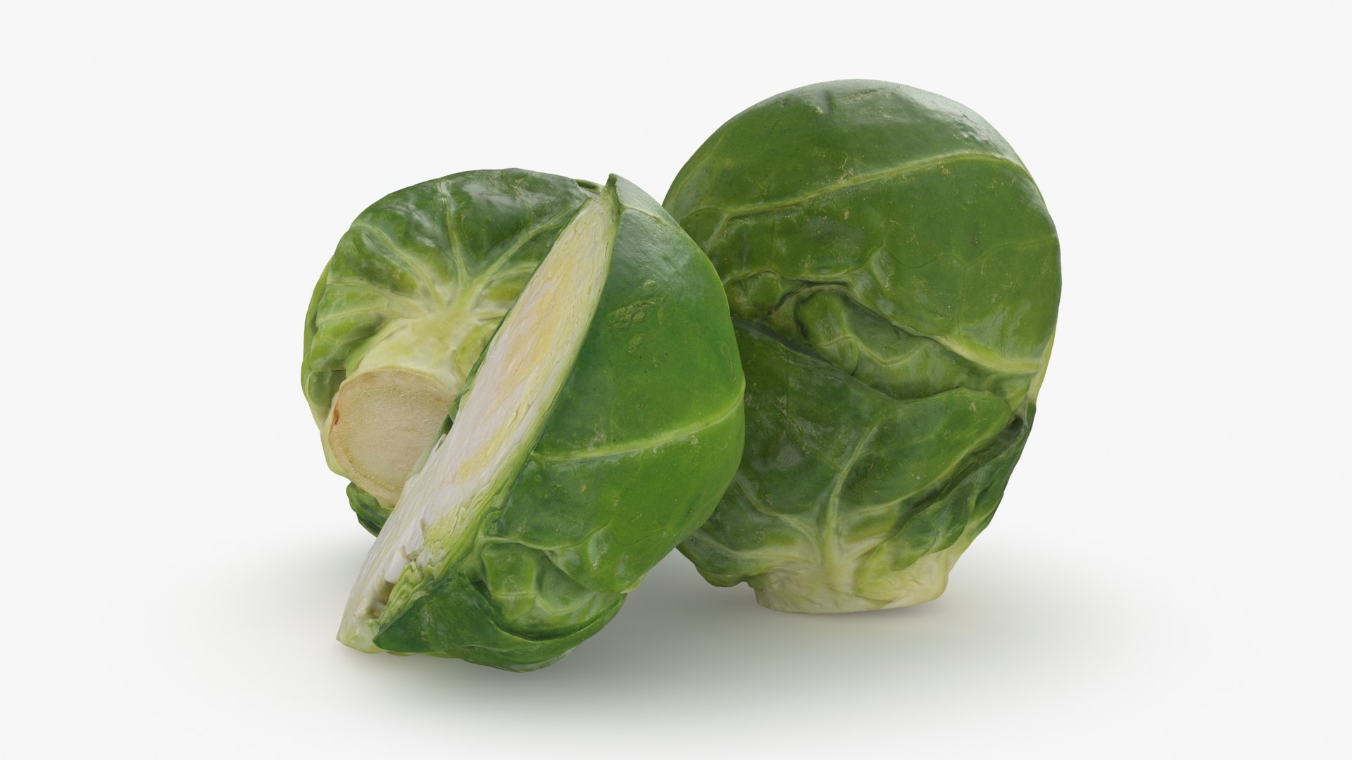 3D Brussels Sprouts 1 https://p.turbosquid.com/ts-thumb/NL/YAmjJy/ms/setbrusselssprout_b0012/jpg/1735752645/1920x1080/fit_q87/5d1d713a68335445eb98d02da39edd3041ce917e/setbrusselssprout_b0012.jpg