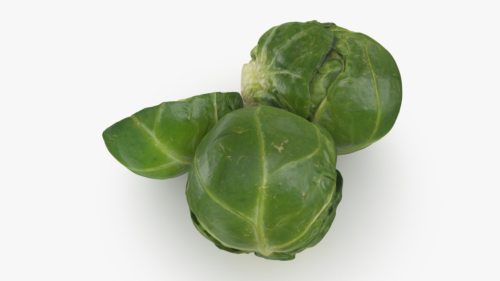 3D Brussels Sprouts 1 https://p.turbosquid.com/ts-thumb/NL/YAmjJy/xP/setbrusselssprout_b0016/jpg/1735752647/1920x1080/fit_q87/7aefb0bfe72026323fab6cda8899bb1f2609e481/setbrusselssprout_b0016.jpg