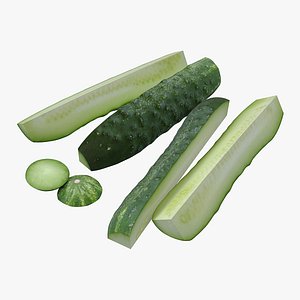 3D model realistic sliced cucumber