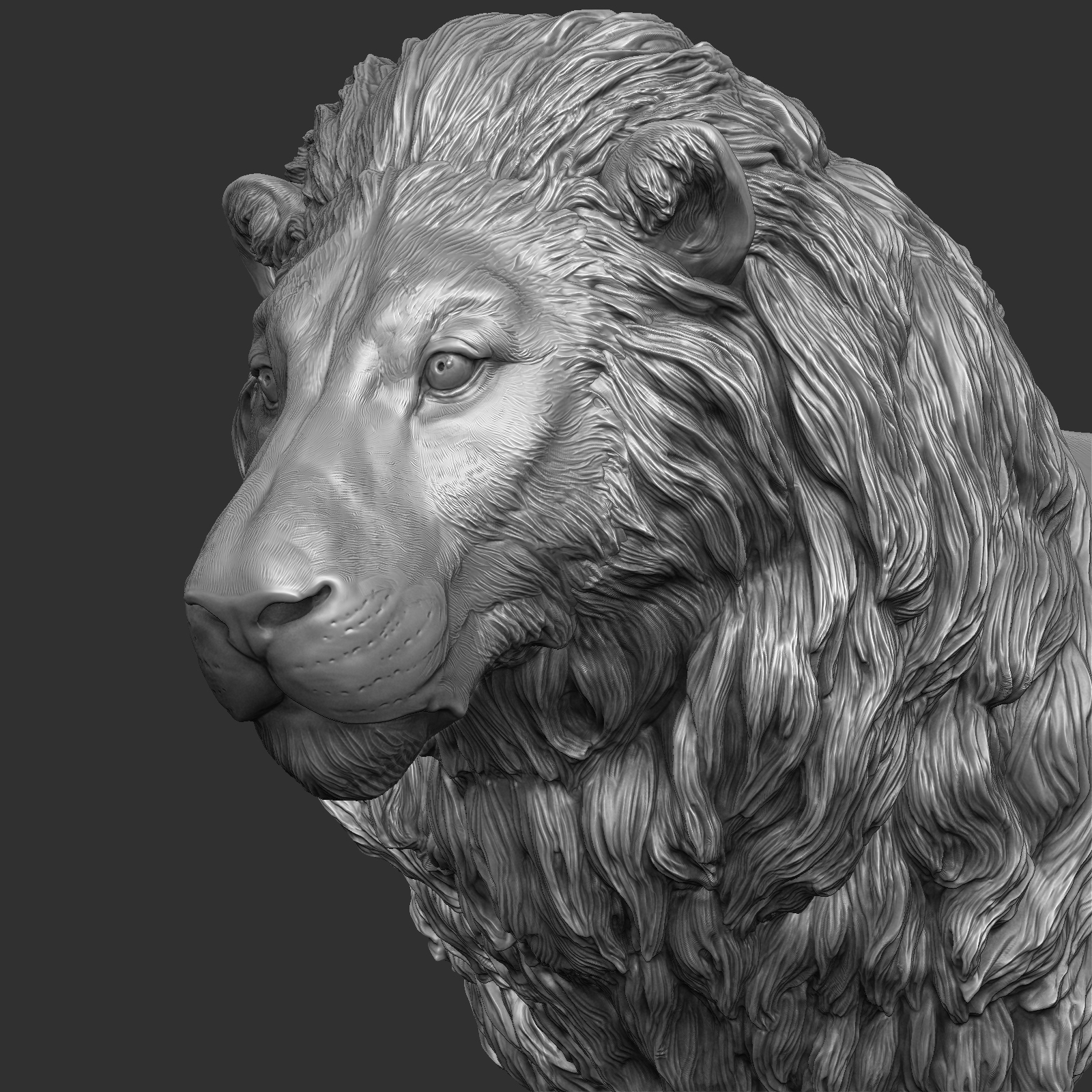 Lion zbrush 3D model - TurboSquid 1214215