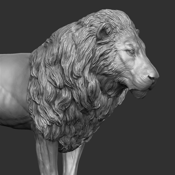 Lion zbrush 3D model - TurboSquid 1214215