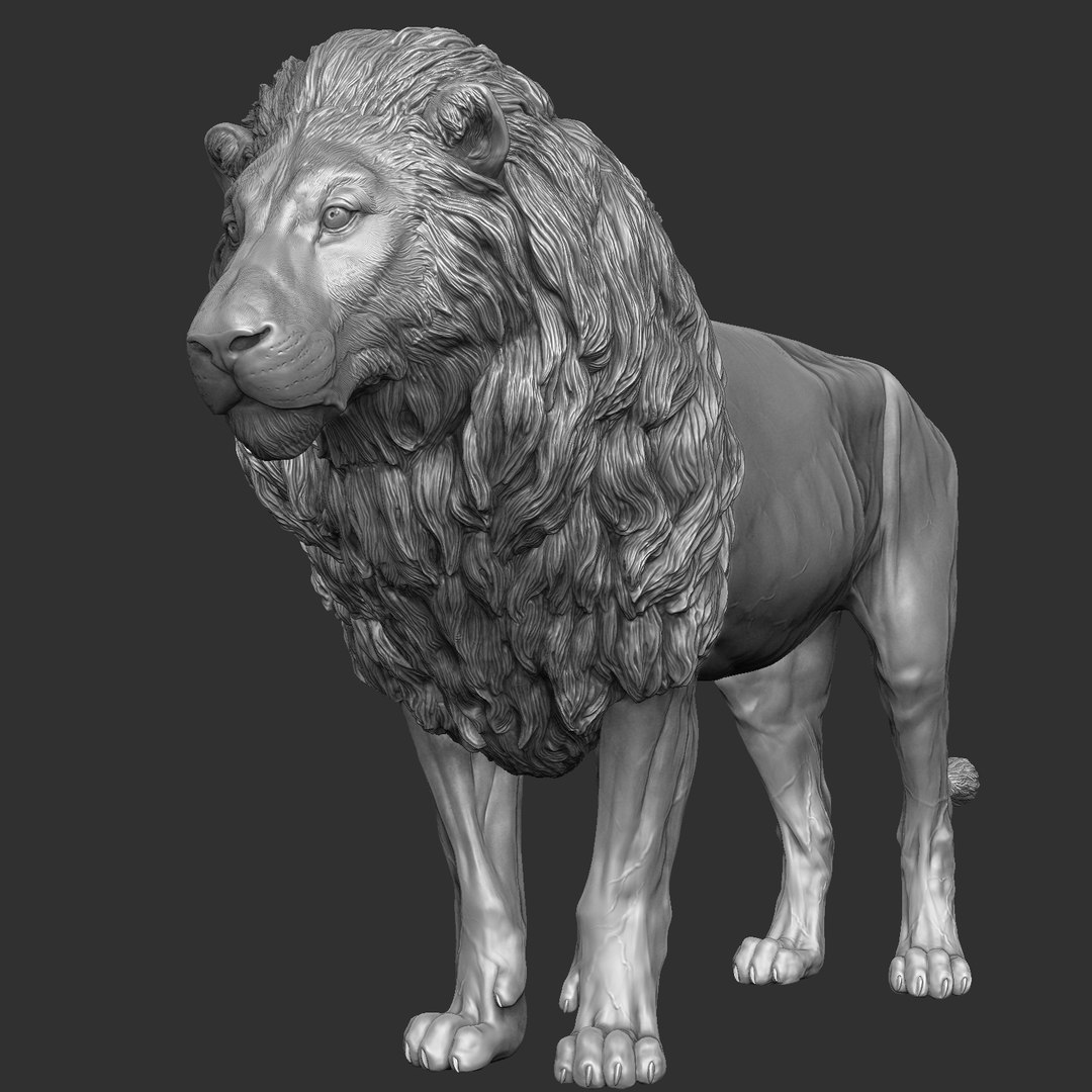 Lion Zbrush 3D Model - TurboSquid 1214215