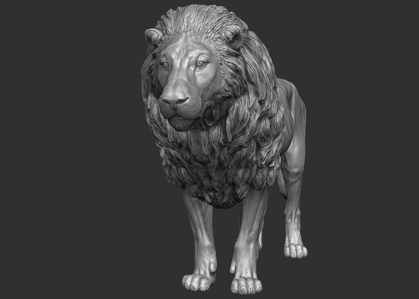 Lion zbrush 3D model - TurboSquid 1214215