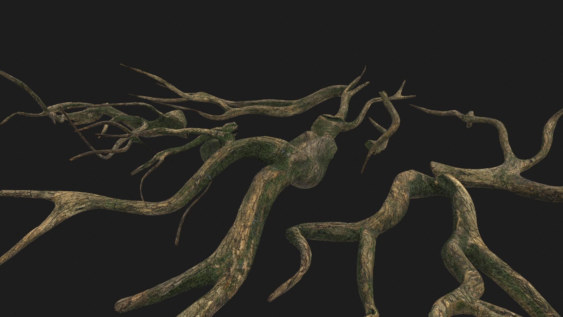 Tree Roots V4 PBR model https://p.turbosquid.com/ts-thumb/NL/iQMv0D/2H/screenshot012/jpg/1726926282/1920x1080/fit_q87/f4b8d67d9dd541395382c32218761e8a38c48095/screenshot012.jpg