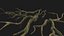 Korzenie drzew V4 PBR