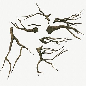 Tree Roots V4 PBR model