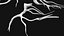 Korzenie drzew V4 PBR