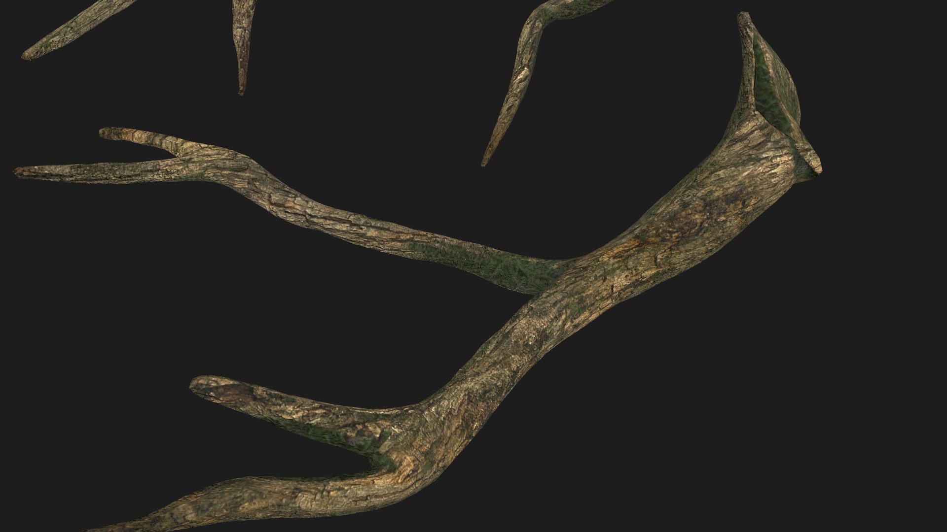 Tree Roots V4 PBR model https://p.turbosquid.com/ts-thumb/NL/iQMv0D/nS/screenshot011/jpg/1726926282/1920x1080/fit_q87/aca0f5fae6635db150e01c40be69424633cb38e1/screenshot011.jpg