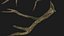 Korzenie drzew V4 PBR
