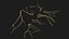 Korzenie drzew V4 PBR