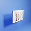 Canvas Painting