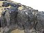 Dark Dunes Pack 17