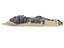 Dark Dunes Pack 17