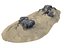 Dark Dunes Pack 17