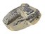 Dark Dunes Pack 17