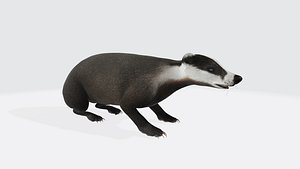Honey Badger Animal Sculpture 3D Model Ready to Print