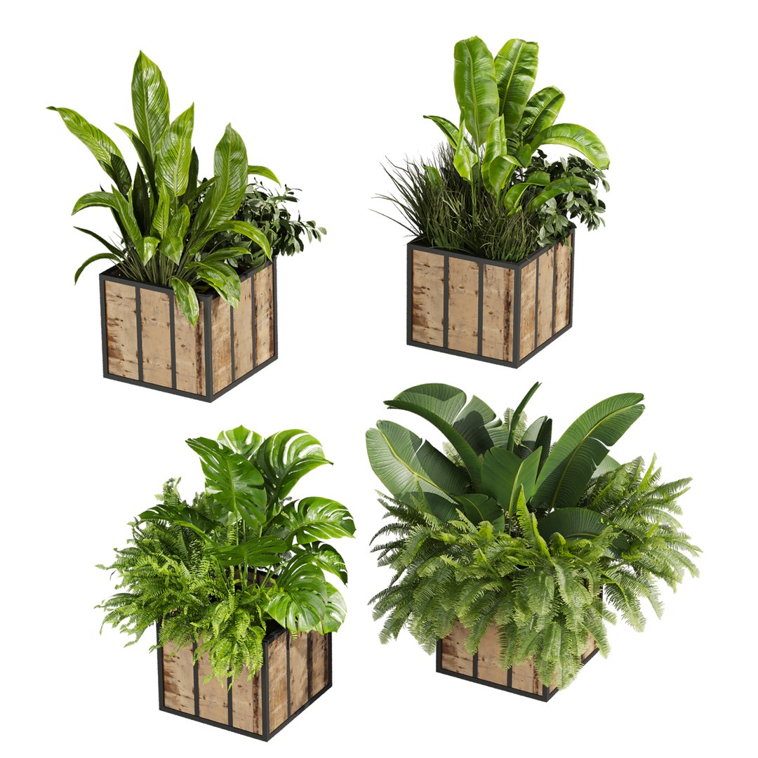 plant vol 815 - box - banana - office 3D https://p.turbosquid.com/ts-thumb/NM/4aoXQb/Km/3/jpg/1767756960/1920x1080/fit_q87/b7cedef5537b0122c1a7b4b38adb613186b65100/3.jpg