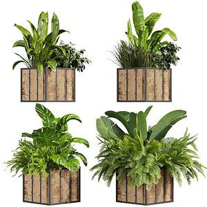 plant vol 815 - box - banana - office 3D