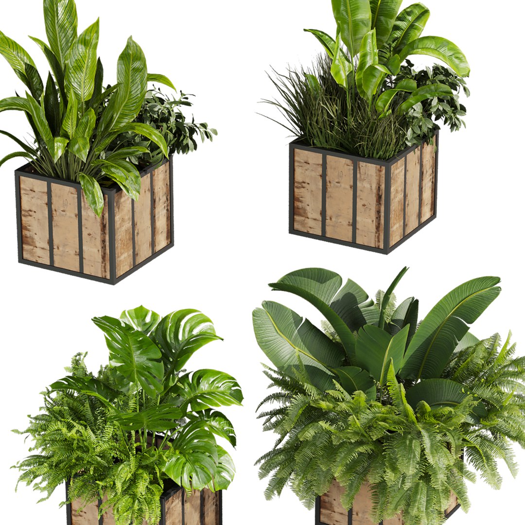 plant vol 815 - box - banana - office 3D https://p.turbosquid.com/ts-thumb/NM/4aoXQb/qy/5/jpg/1767756962/1920x1080/fit_q87/0a1a318469d69ec48cf49fcdfa175c3c6e9b518c/5.jpg