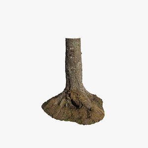 Anydrafts Abies Trunk 05 model