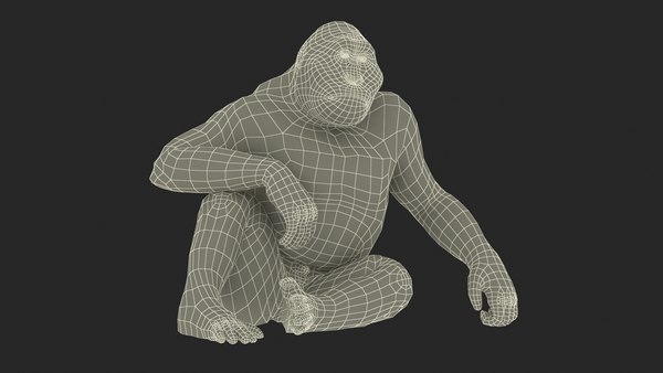 modelo 3d Gigantopithecus en pose sentada Piel - TurboSquid 2312393
