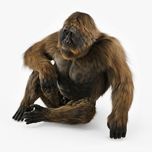 Gigantopithecus in Sitting Pose Fur