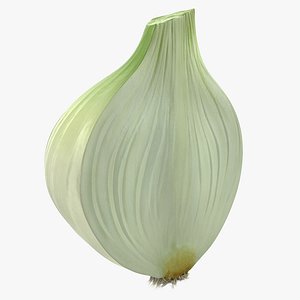 3D half onion