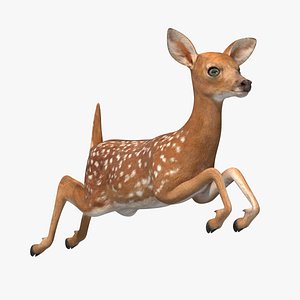 Leaping White-Tailed Fawn Deer model