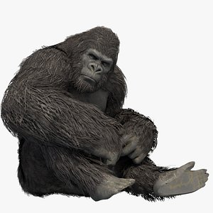 Gorilla tag - Gorilla: textured, rigged, colour - Download Free 3D model by  asduf28349 (@asduf28349) [43404d6]