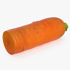 Half Carrot 3D Model