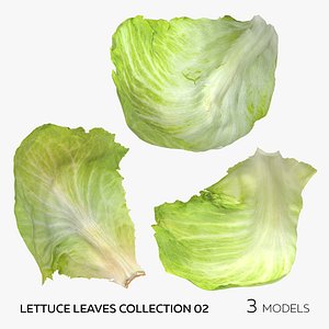 Lettuce Leaves Collection 02 - 3 models 3D model