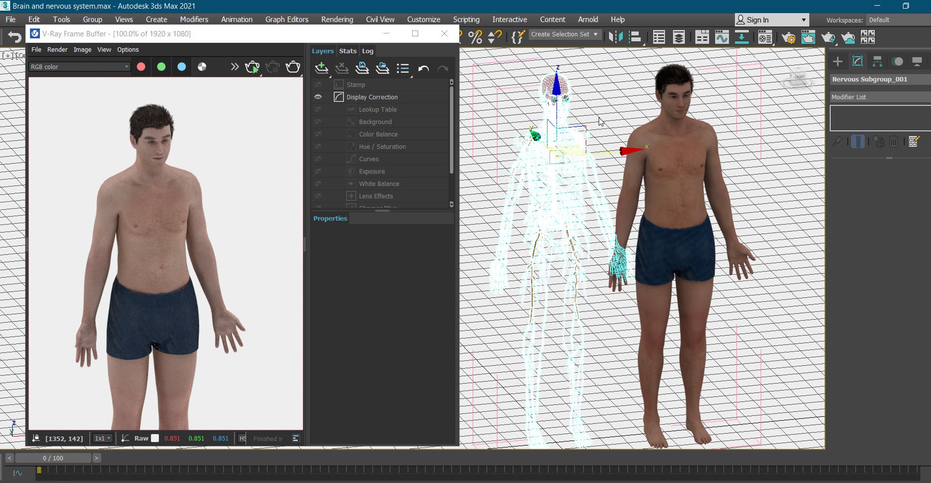 Brain and nervous system 3D https://p.turbosquid.com/ts-thumb/NM/SBGV3v/8q/20220630_233631/jpg/1657205847/1920x1080/fit_q87/5f80c83232f6bee45d6603460a0b04bf0d6ed2aa/20220630_233631.jpg
