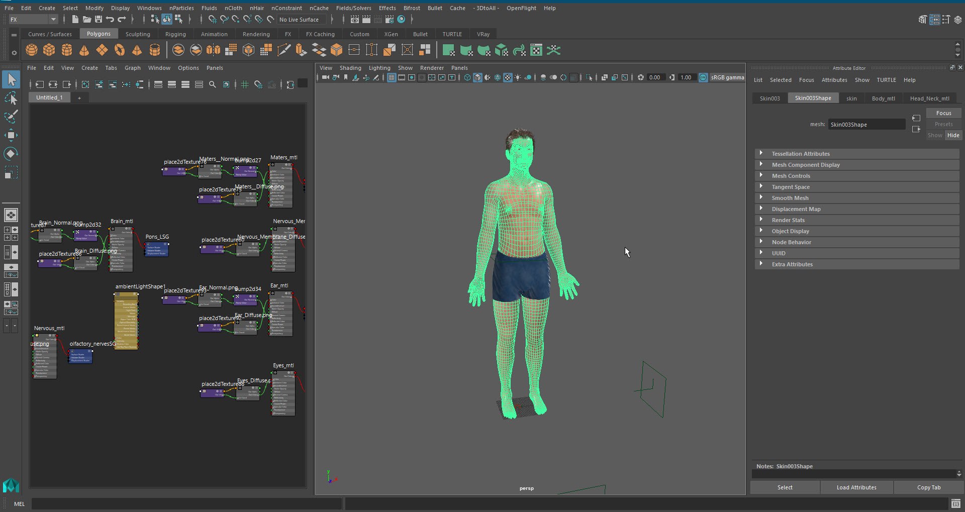 Brain and nervous system 3D https://p.turbosquid.com/ts-thumb/NM/SBGV3v/Dh/20220701_00904/jpg/1657205843/1920x1080/fit_q87/5e78b87feaa0ae96263091ac85506f3e7c35ee15/20220701_00904.jpg